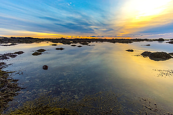 Nature, Sky, Horizon, Lake, Algae, Seaweed HD wallpaper