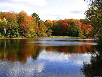 Landscape, Rivers, Trees, Autumn HD wallpaper