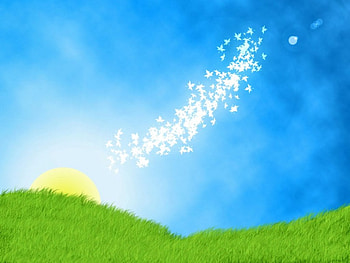 Lands Are Shining, shining, 2d, splash, sky, sun, land HD wallpaper