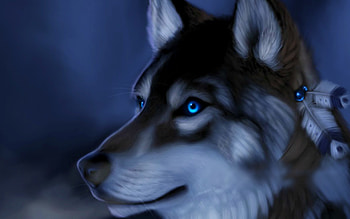Kordell MacDonald - screensaver for angry wolf - 2560 x 1600 px Â· Native American ... HD wallpaper