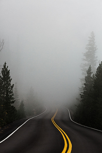 Nature, Trees, Road, Turn, Markup, Fog, Asphalt HD phone wallpaper