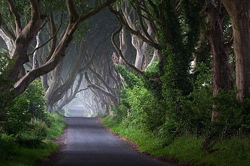 Irish Countryside, Lush green fields, Rolling hills, Tranquil beauty HD wallpaper