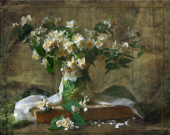 Still life, soft, flowers, abstract, graphy HD wallpaper