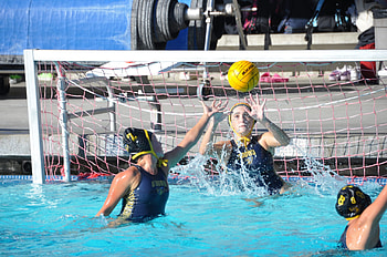 Women's water polo, Bishop O'Dowd High School HD wallpaper