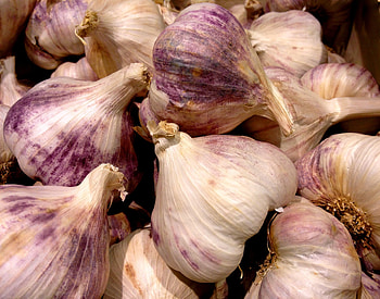 Gorgeous garlic cloves, Cluster of cloves, High-resolution , Luscious texture HD wallpaper