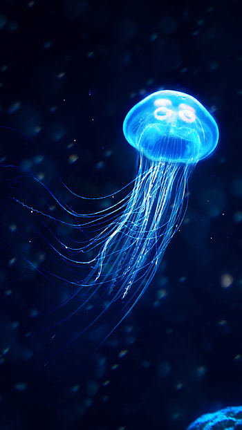 Glowing jellyfish, Ethereal beings, Enchanting beauty, Captivating appeal HD phone wallpaper