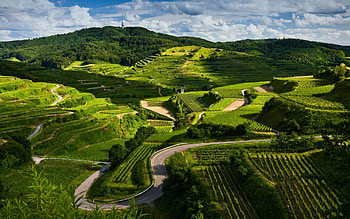 Landscape, Fields HD wallpaper