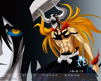 Ulquiorra I'v gaind new power and now I well kill you, bleach, fighting, ichigo, anime HD wallpaper