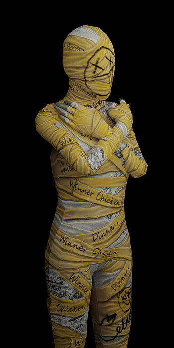 Egyptian mummy, artifact, gane, Egyptian_mummy, art, game, Egypt, pubg, bgmi HD phone wallpaper