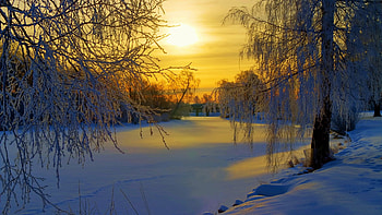 Swedish winter at the river, snow, sunrise, clouds, landscape, trees, sky HD wallpaper