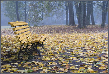 Autumn Bench, bench, autumn fall, trees, beautiful, park HD wallpaper