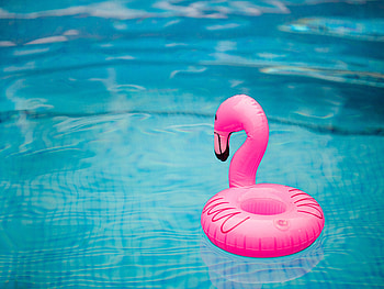 Water, Waves, Flamingo, Miscellanea, Miscellaneous, Pool, Inflatable Circle HD wallpaper