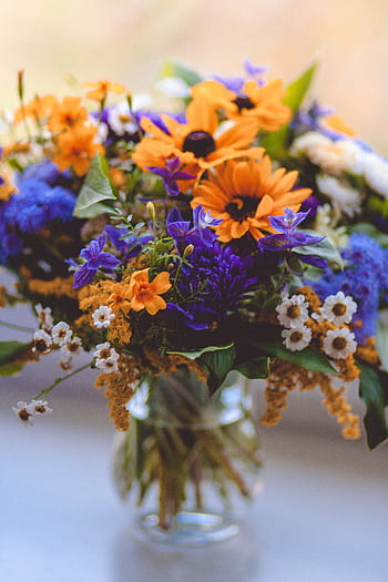 A colorful arrangement of wildflowers in a vase, featuring sunflowers and daisies with a blurred background. HD phone wallpaper