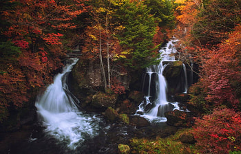 Amazing Autumn Waterfall, river, Japan, Dragon fall, green, beautiful, yellow leaves, forest, red autumn HD wallpaper