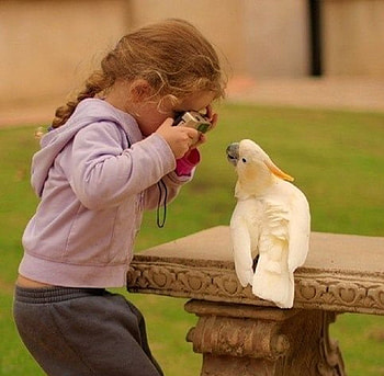 Say cheese, sweet, smiley, bird, coupls, cute, friends, child, parrot HD wallpaper