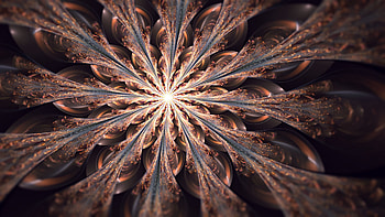 Abstract, Bright, Petals, Fractal, Glow HD wallpaper