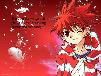 Become the Wings to Pierce the Veil, niwa, wings, daisuke, dn angel, veil, angel, anime, pierce, red, cool, dna HD wallpaper