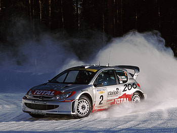 peugeot 206 wrc, peugeot, french, car, rally HD wallpaper