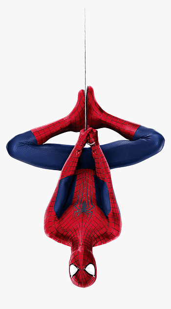 Spiderman Hanging Upside Down, Png - Spiderman Png, Transparent Png, Transparent Png , Spiderman Upside Down HD phone wallpaper