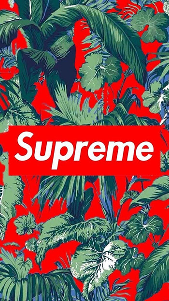Supreme, Logo HD phone wallpaper