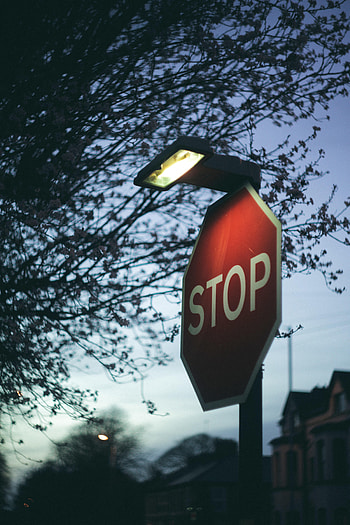 Words, Branch, Lantern, Lamp, Sign, Stop HD phone wallpaper