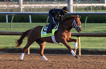 Known Agenda, Kentucky Derby HD wallpaper