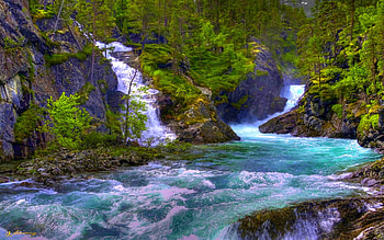WATER RUSH, falls, rush, river, forest HD wallpaper