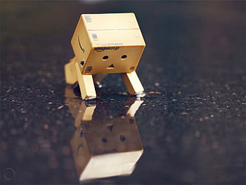 Danbo swimming attempt, danbo, cute, funny, swimming attempt HD wallpaper