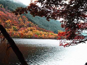 Scottish Scenery, lakes, nature, scotland, loch HD wallpaper