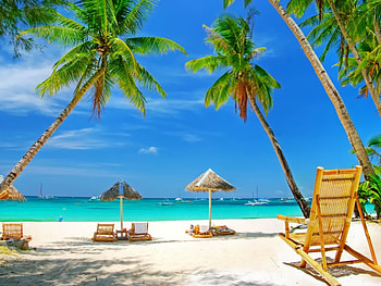 Landscape, Beach, Palms HD wallpaper