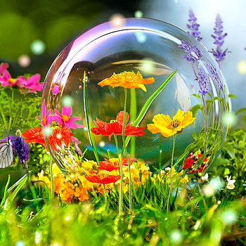 Nature Live For PC - Zone More HD phone wallpaper