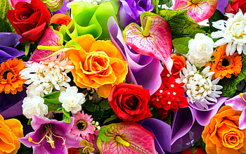 Exotic flowers, Flower Bouquet HD wallpaper