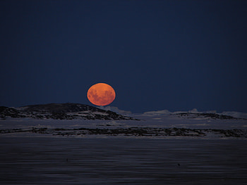 Orange Moon, other, people, fun, entertainment HD wallpaper