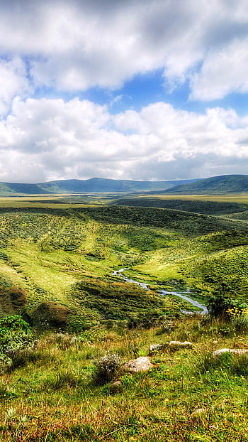Ngorongoro Crater, Highland view, Olmoti Crater, Tanzania HD phone wallpaper