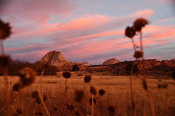 Landscape, Nature, Mountains, Vegetation, Field HD wallpaper
