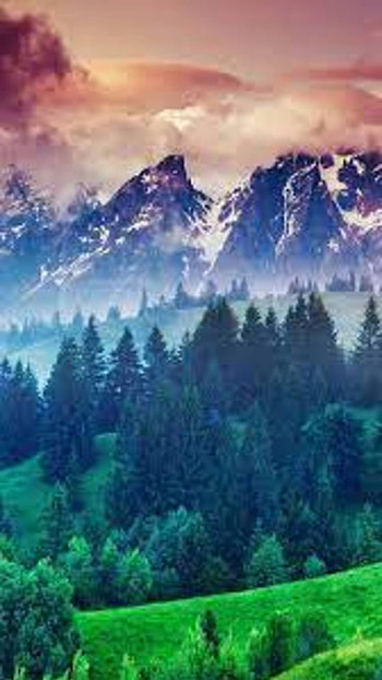 nature, winter HD phone wallpaper
