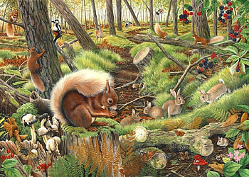 Save our squirrels, trees, puzzle, forest, animals HD wallpaper