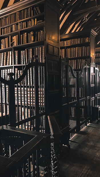 Dark Academia, Aesthetic Books HD phone wallpaper
