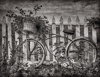 LIFE IS LIKE RIDING A BICYCLE, style, life, graphy, bike, bw, flowers HD wallpaper