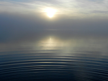 Lake Sun Morning Fog Reflection, lake, sun, morning, fog, reflection, nature HD wallpaper