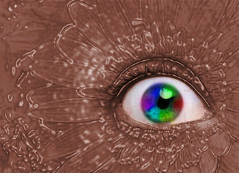 Rainbow and chocolate, sweet, yommy, rainbow, chocolate, pretty HD wallpaper