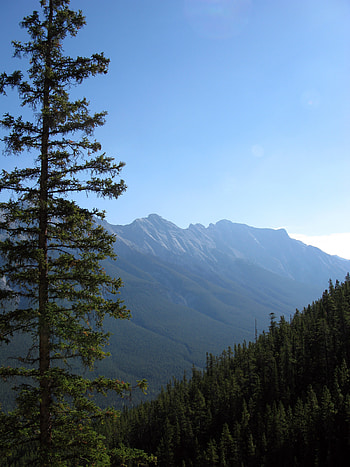 Nature, Trees, Sky, Mountains, Fir, Spruce, Slope HD phone wallpaper