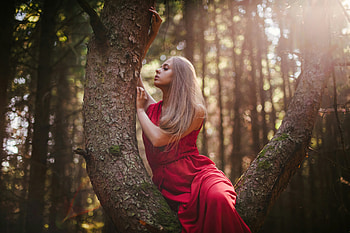 Women In Red Dress In Nature, red-dress, girls, model, nature HD wallpaper