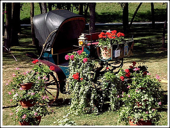 spring, garden, nature, flowers, baby carriage HD wallpaper