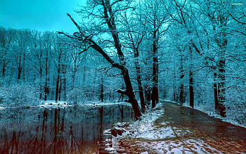 Winter Blue Ice Mountain River, Winter, Ice, Trees, Rivers, Nature, Mountains HD wallpaper