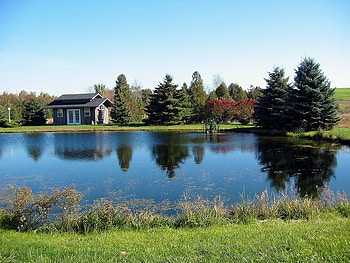 Quiet Pond, sky, water, house, pond HD wallpaper