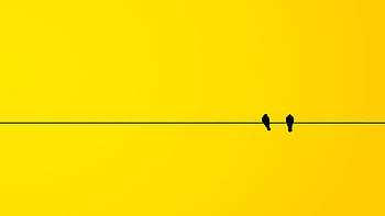 Birds Minimal , birds, minimalism, minimalist, artist, artwork, digital-art HD wallpaper
