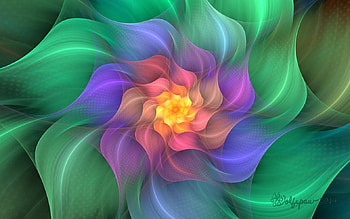 Fractal Flower, colors, fractal, abstract, flower HD wallpaper