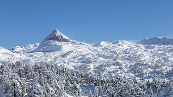 First snow of the season, Pyrenees, Spain - France, trees, landscape, sky, mountains HD wallpaper