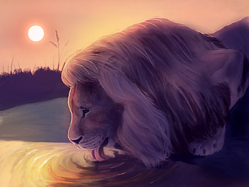 Water, Art, Lion, Wildlife, Protruding Tongue, Tongue Stuck Out HD wallpaper